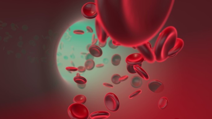 动脉中的血细胞动画