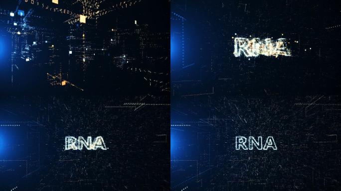RNA动画特效视频