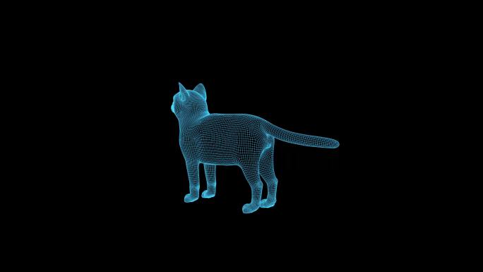 4K蓝色科技全息猫循环动画线框带通道