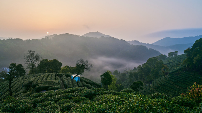 4k茶山日出延时