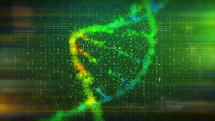 DNA结构动画基因数据医学科技基因研发
