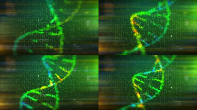 DNA结构动画基因数据医学科技基因研发