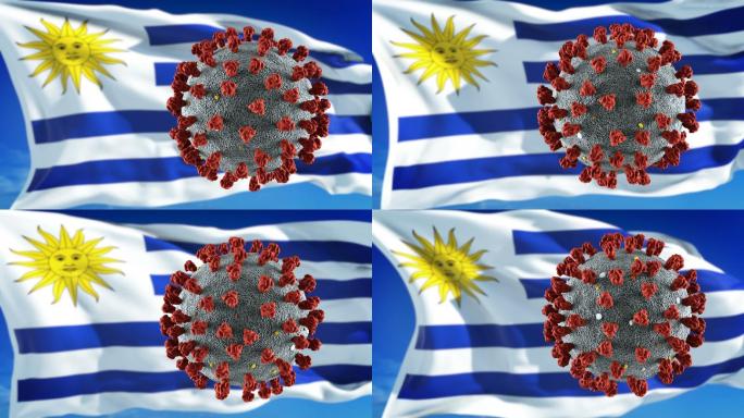 乌拉圭冠状病毒疾病爆发