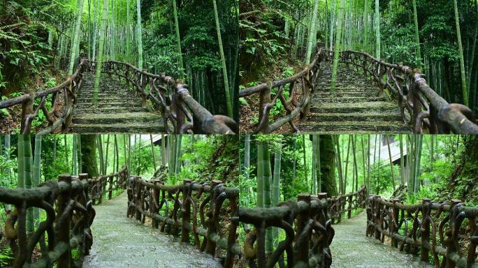 农村里的竹林石板路