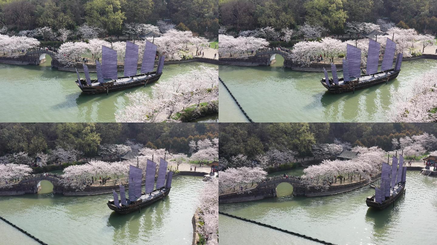 4K无锡太湖鼋头渚长春桥樱花帆船