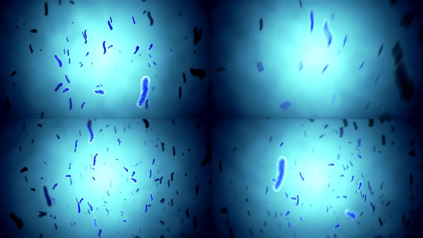 细菌3D动画病原体医学研究抗性结构素材细