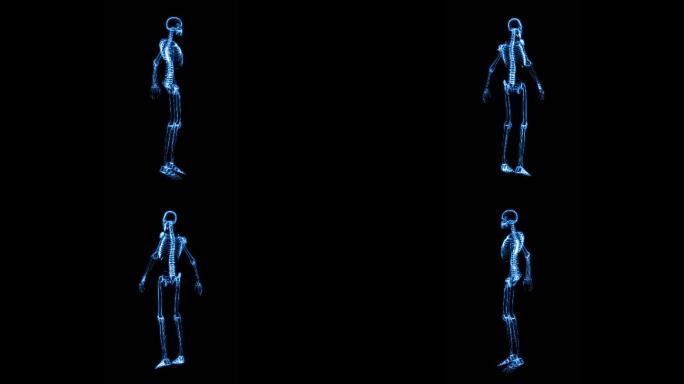人体骨骼X射线动画
