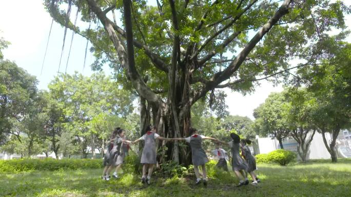 植树节学生围着参天大树转圈茁壮成长向未来
