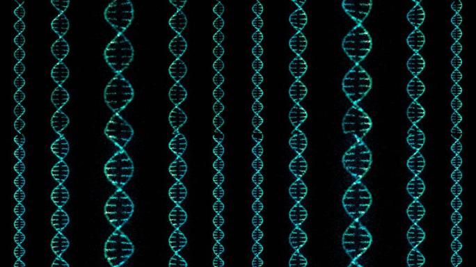 DNA结构背景元素