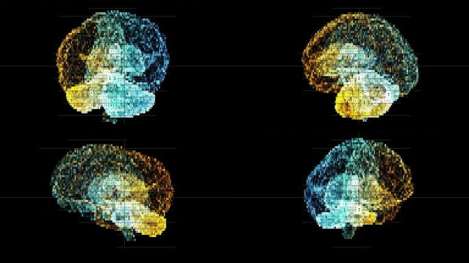 像素化大脑特效动画合成元素智慧