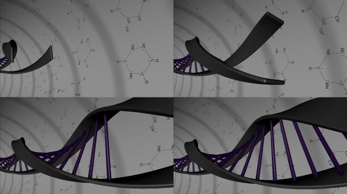 DNA动画新冠病毒细菌细胞微生物真菌