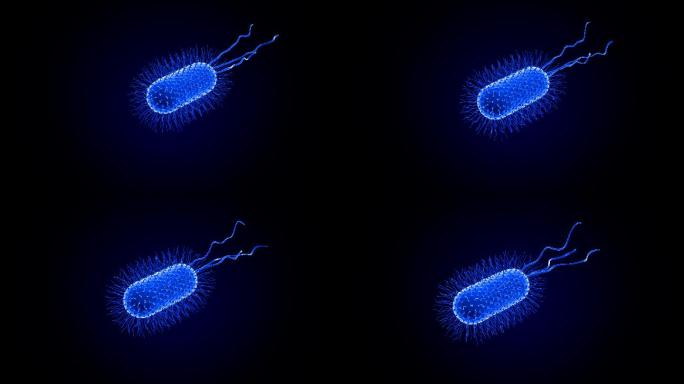 细菌动画3D医疗
