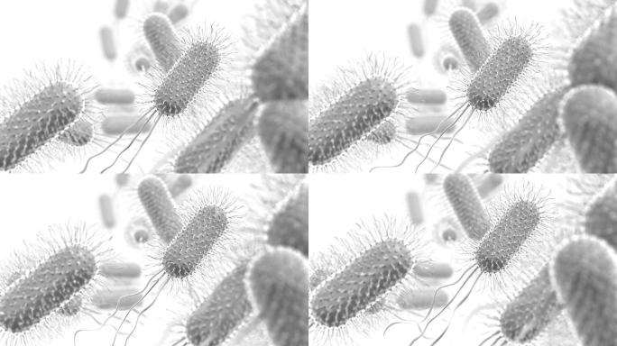 细菌医学背景新冠病毒细菌细胞微生物真菌