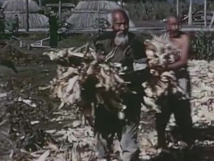 60年代农民视频