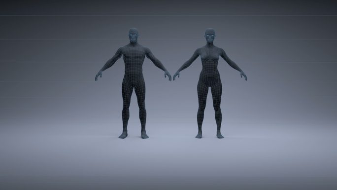 两个人体动画站立在灰色背景中
