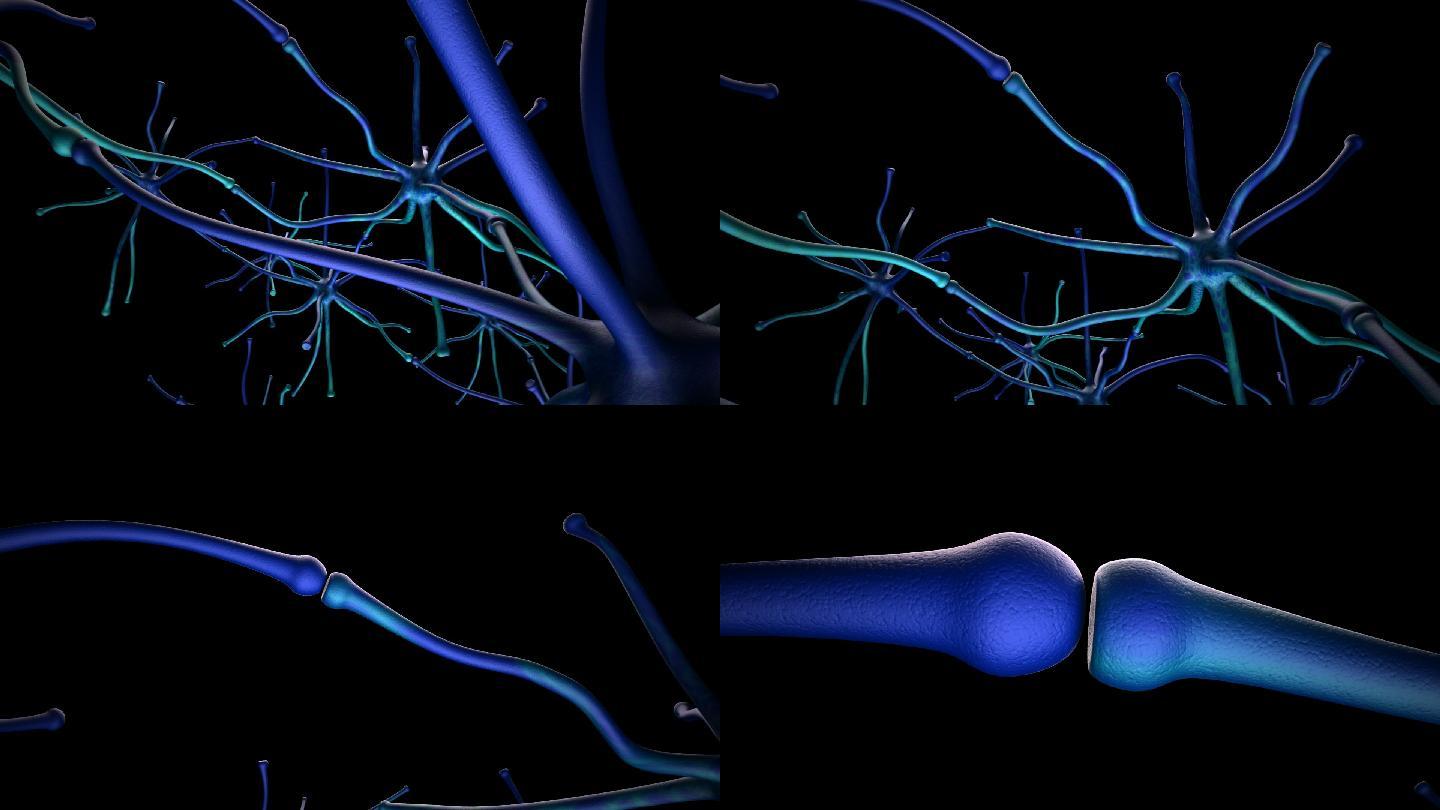 人类神经系统神经元视频素材人体智慧