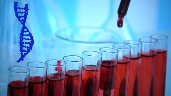 血液检测DNA试管血型