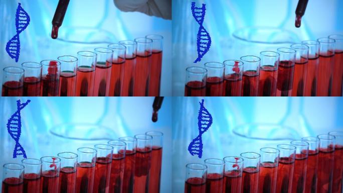 血液检测DNA试管血型