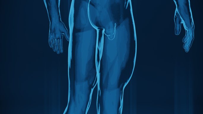 人体肌肉医学扫描HUD人体器官高新科技