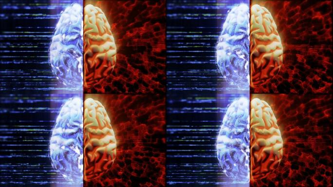 大脑活动大脑动画特效左右脑卡通科技人脑技