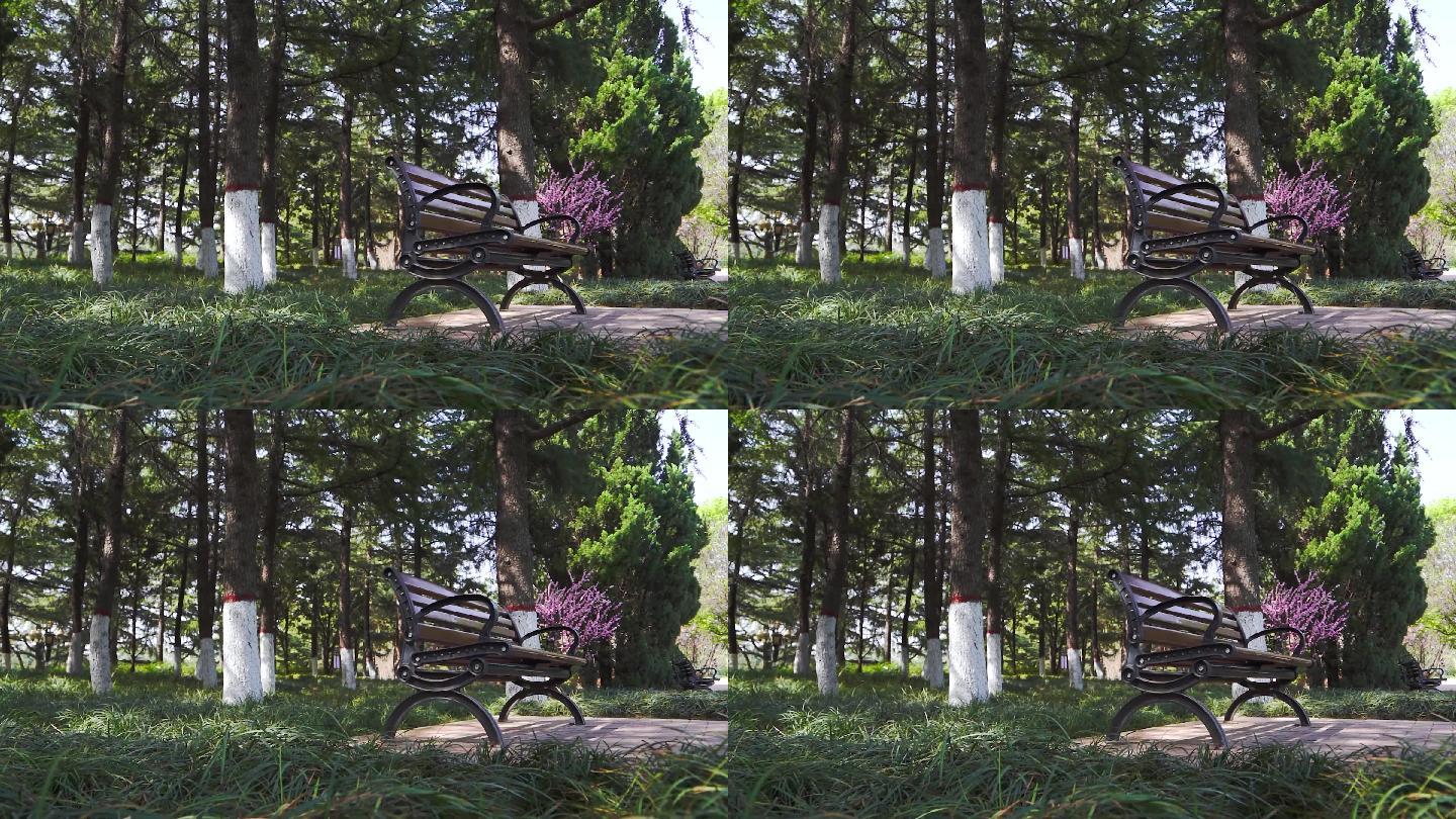 【原创】4K·公园树下的长椅B