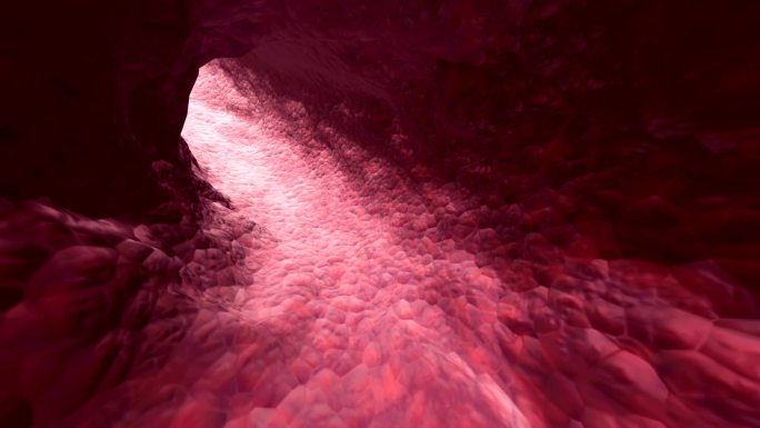 静脉隧道动画血血管穿梭组织器官血管壁