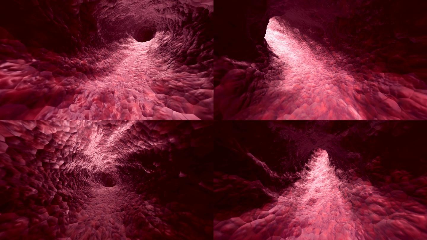 静脉隧道动画血血管穿梭组织器官血管壁
