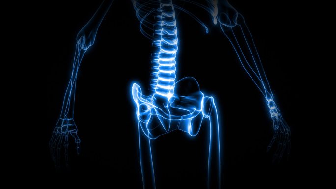 人体骨骼X射线特效视频人类脊柱