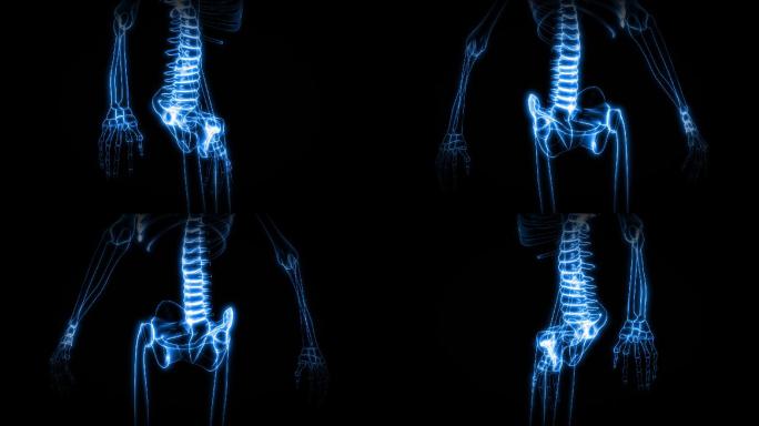 人体骨骼X射线特效视频人类脊柱