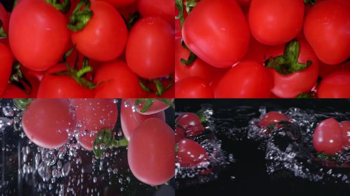小番茄 西红柿