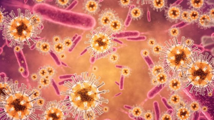 细菌和病毒动画物体化验肛肠细菌
