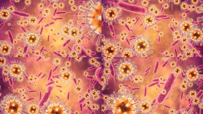 细菌和病毒动画物体化验肛肠细菌