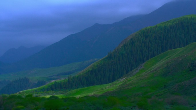 郁郁葱葱祁连山