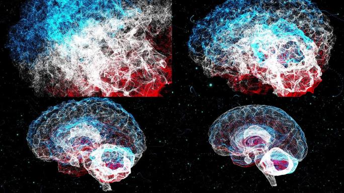 粒子漩涡产生的大脑动画