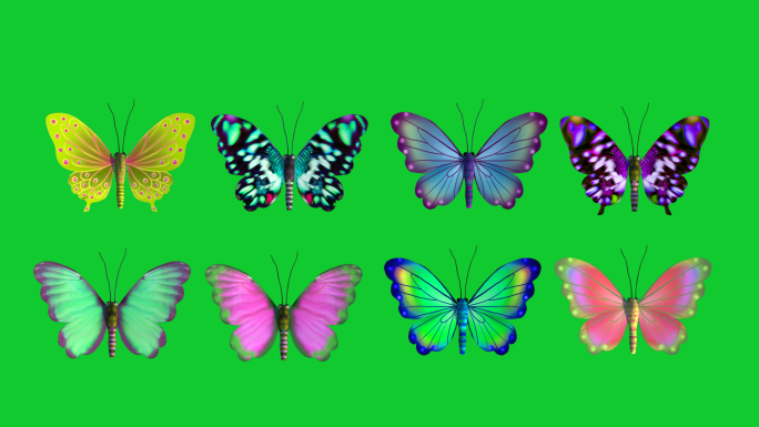 8款蝴蝶视频素材下载 蝴蝶扇动翅膀飞舞