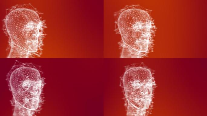 数字头部抽象动画三维医学器官3D人体