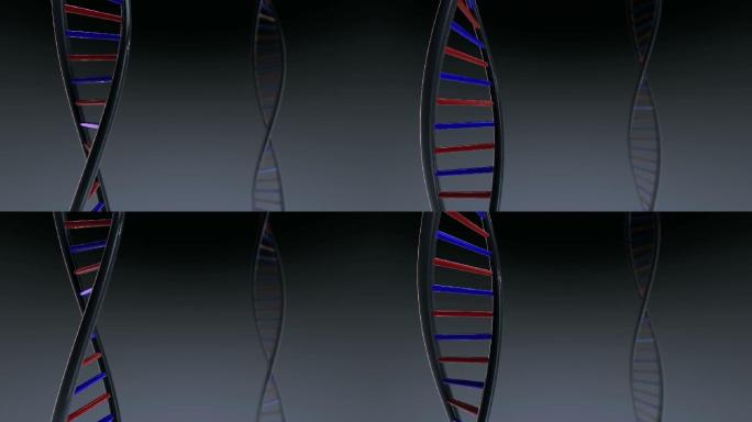 DNA结构动画晃动闪动螺旋