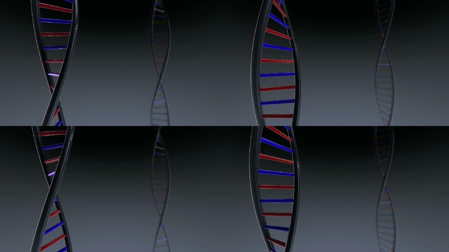 DNA结构动画晃动闪动螺旋