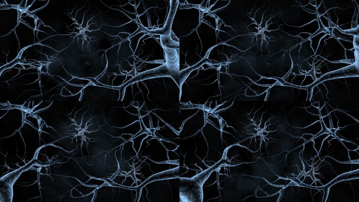 黑色背景上的神经细胞