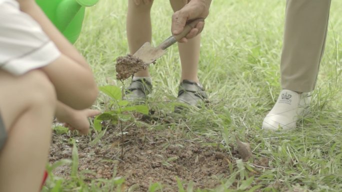 植树节老师带学生种树小树茁壮成长祖国未来