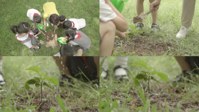 植树节老师带学生种树小树茁壮成长祖国未来