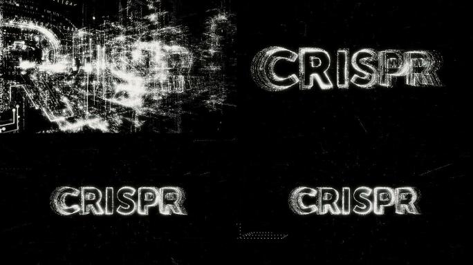 CRISPR word动画