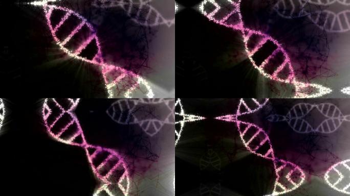 抽象DNA与技术场景