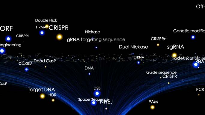 带有CRISPR术语的动画