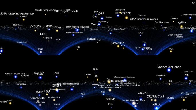 带有CRISPR术语的动画