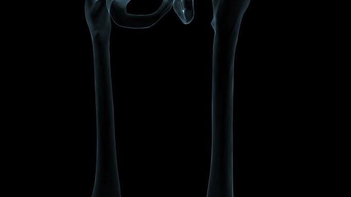 人体X射线骨架动画