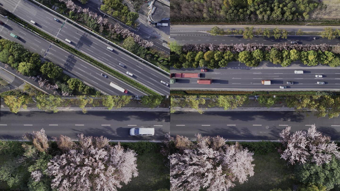 原创 4k   高速路  樱花