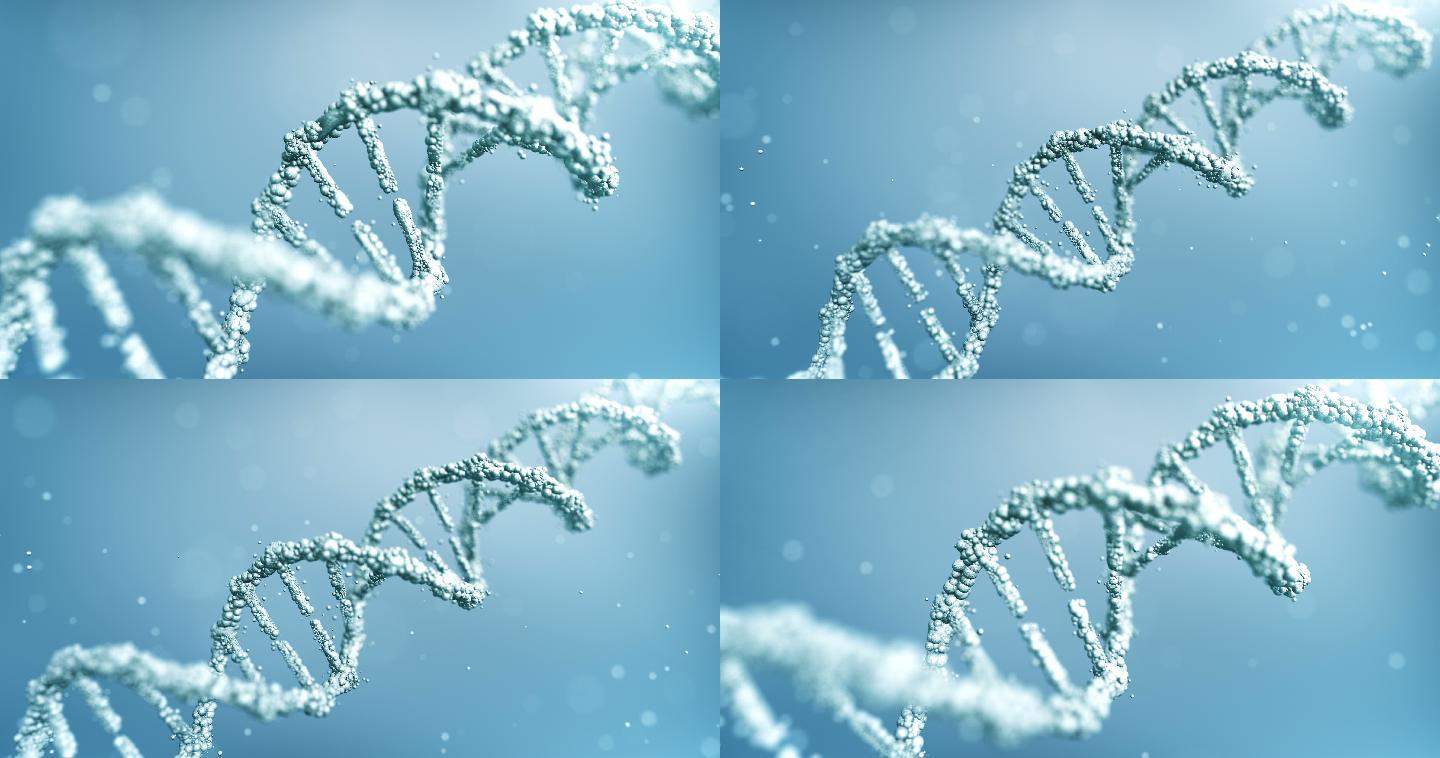 DNA结构动画遗传学生物技术医疗科研