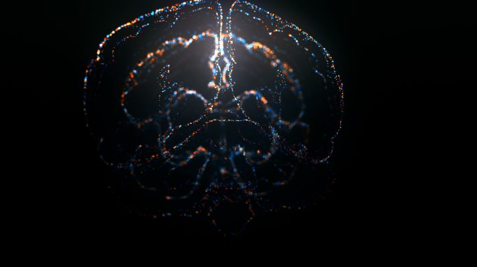 用发光粒子旋转核磁共振扫描人脑