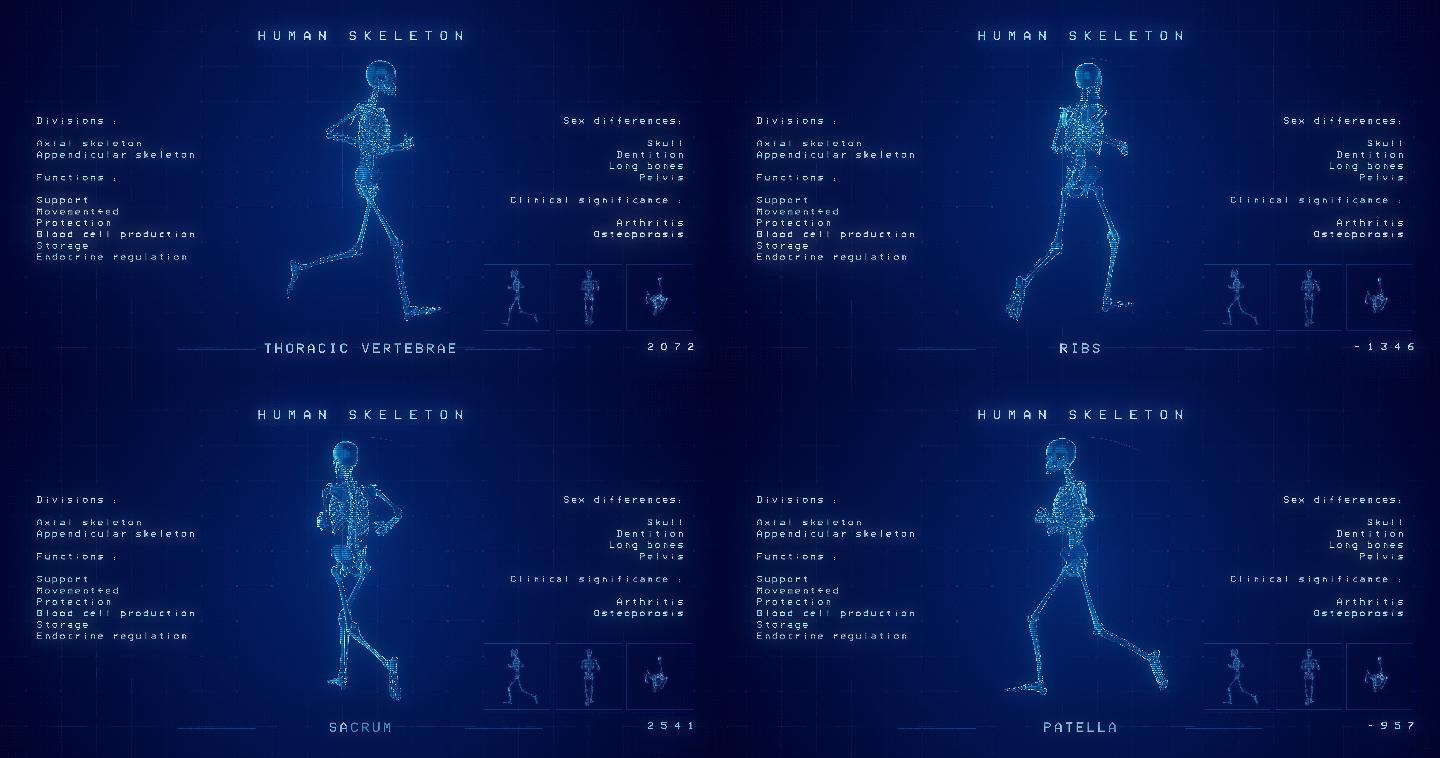 人体骨骼人体动态图跑步身体延时
